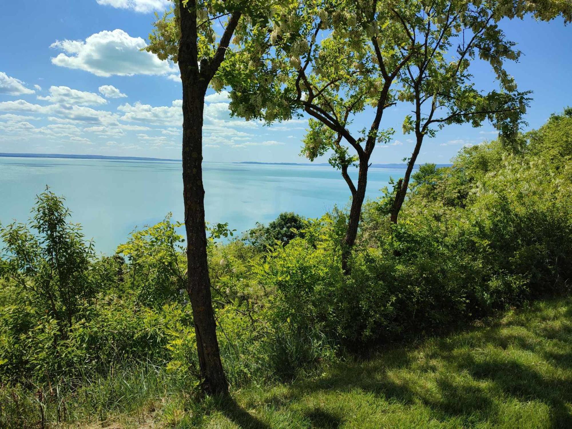 Akarattya Endless Summer Woodhouse Balatonakarattya Exterior photo